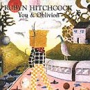 album robyn hitchcock