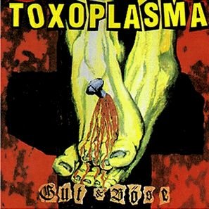 album toxoplasma