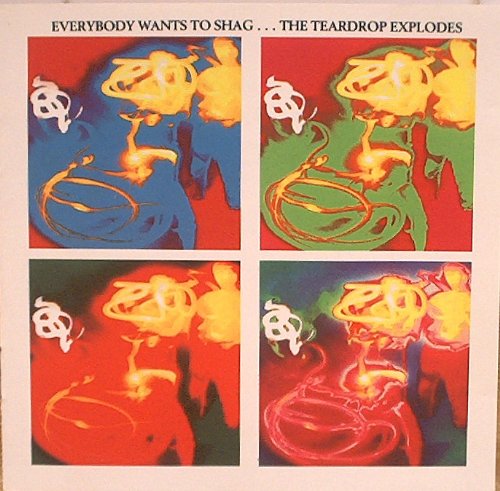 album the teardrop explodes