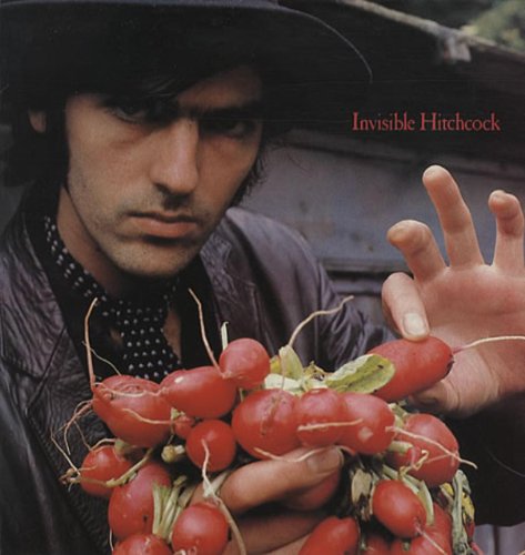 album robyn hitchcock