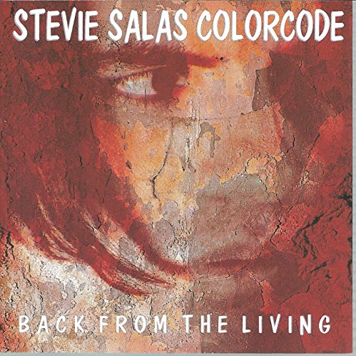 album stevie salas